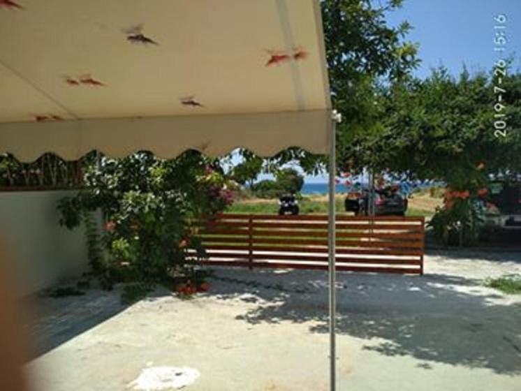 Kitesurf Paradise Studios Theológos Exterior foto